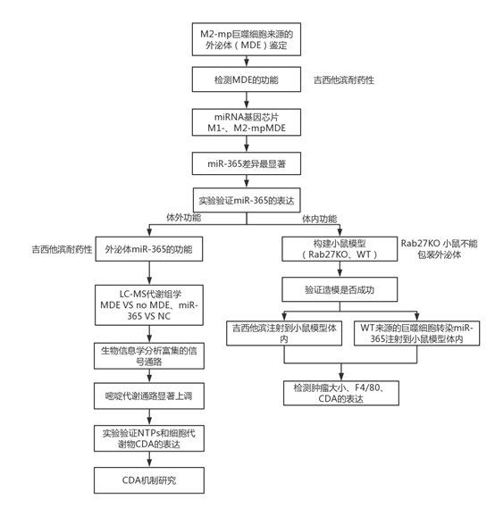 5bbc1d6727b2b.png image.png
