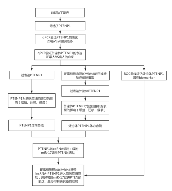 5bf22757dd182.png image.png
